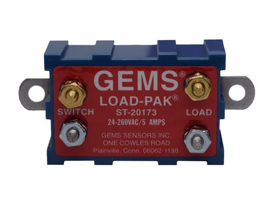 Electronic Non-Intrinsically Safe Relays